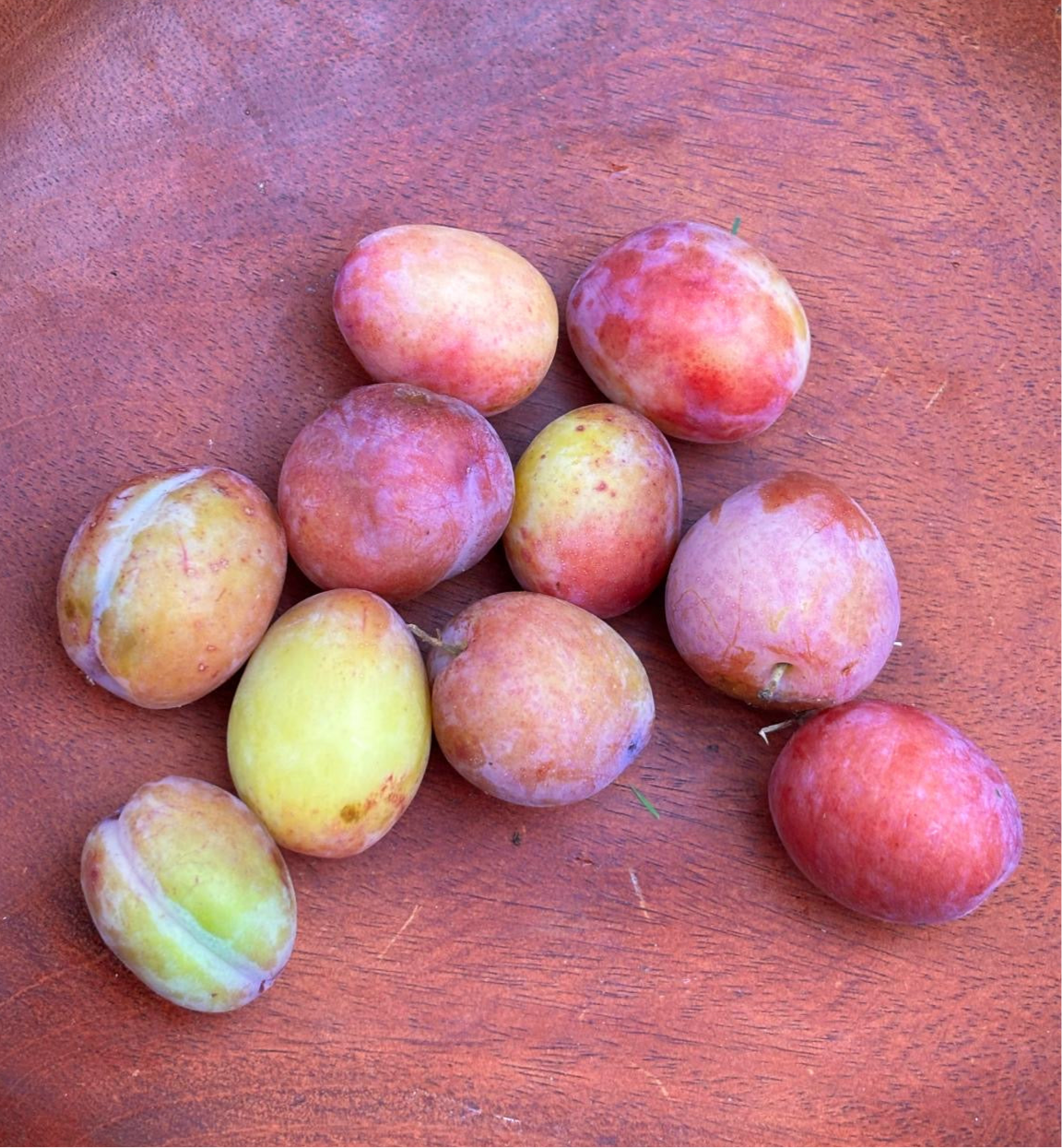Garden Plum Jam